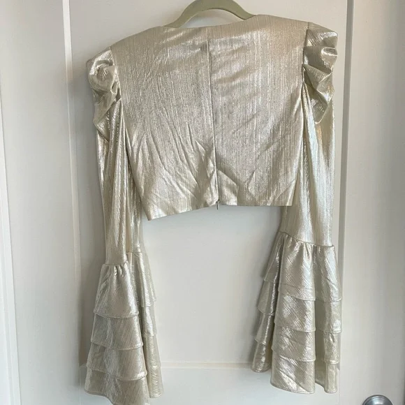 RETROFETE/ Revolve Crop Top XS - Crop Bell Sleeve Shimmer metallic Top. NWT $375 - Picture 4 of 7